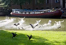 阿姆斯特丹旅游攻略 阿姆斯特丹旅游景点介绍