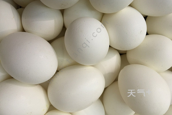 tqjia