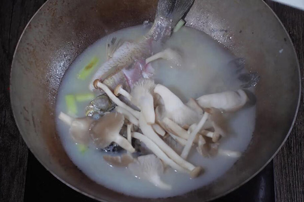 杂菇鲫鱼汤的做法 如何做鲫鱼汤