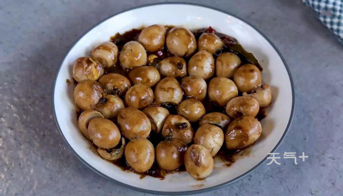 tqjia