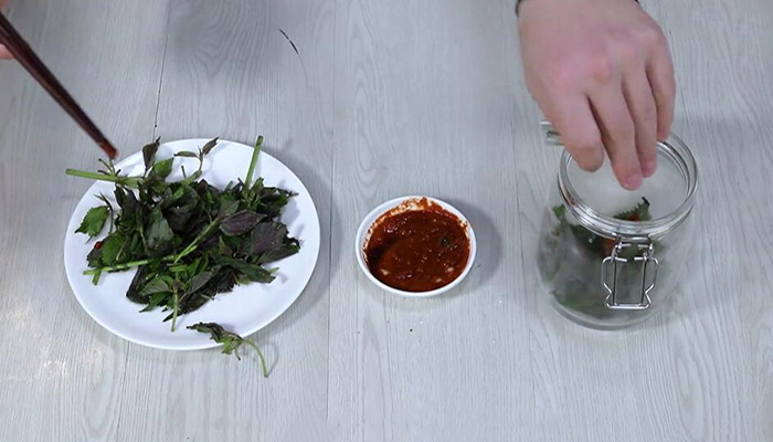 怎麼醃蘇子葉蘇子葉怎麼醃鹹菜