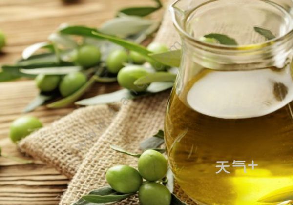 怎样涂橄榄油 tqjia