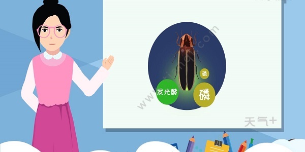 tqjia