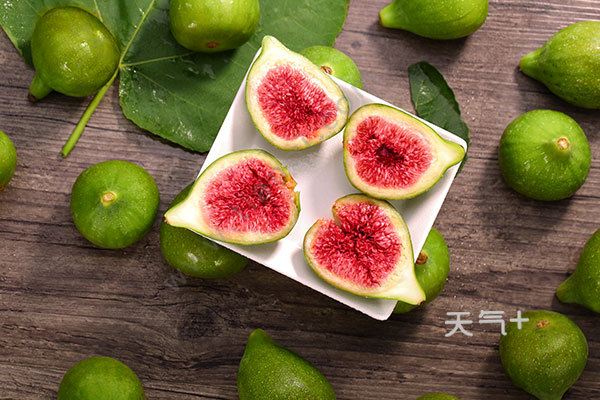 tqjia