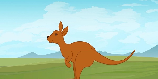 动物的尾巴有什么作用动物尾巴的用处