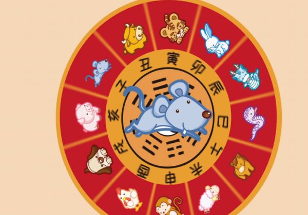 明年是什么年明年属什么