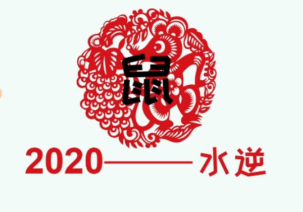 明年是什么年明年属什么