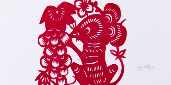 2020年属什么生肖 2020年是什么年