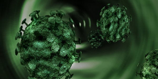 新型冠状病毒简称 新冠病毒的简称叫什么