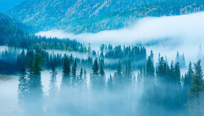 雾霾和雾的区别 雾霾和雾有什么不同