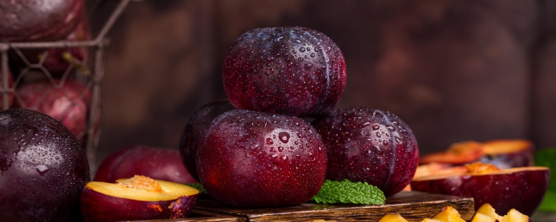 紫叶李的果子能吃吗 紫叶李的果子能不能吃