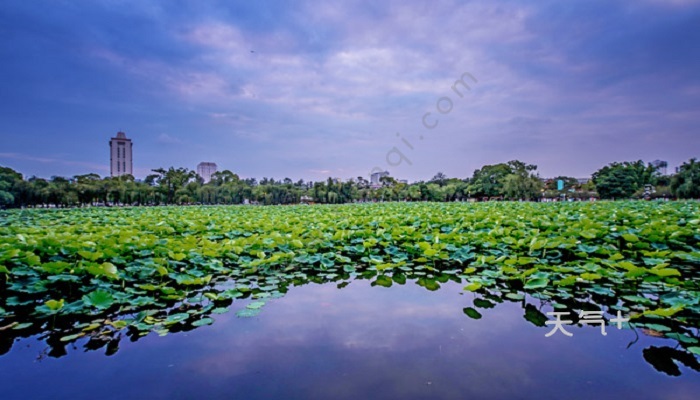 云南旅行社排行_云南省十大旅行社是哪些推荐云南省比较靠谱的旅行社