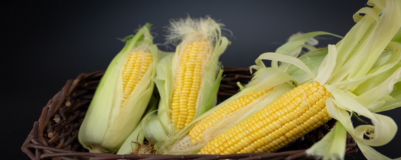 玉米须和玉米叶煮水喝有什么营养 玉米须和玉米叶煮水喝的功效