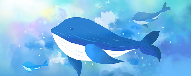 鲸落的意思 鲸落的意思是什么