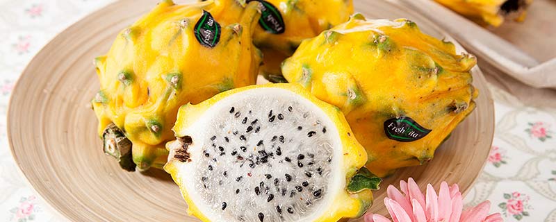 pitahaya是什么水果pitahaya的意思