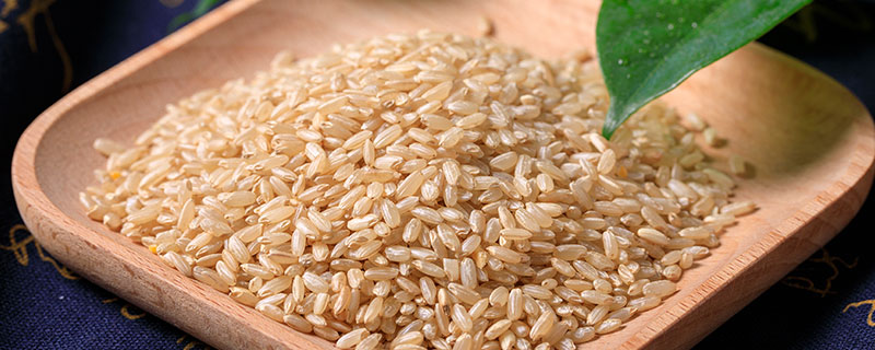 糙米是什么米 什么样的米是糙米