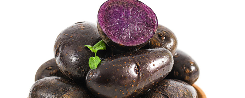 紫色土豆是转基因的吗 紫色土豆是不是转基因