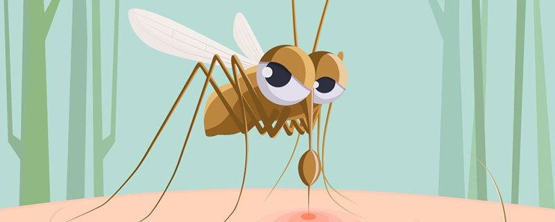 室内最有效的驱蚊方法 室内有效的驱蚊方法有哪些