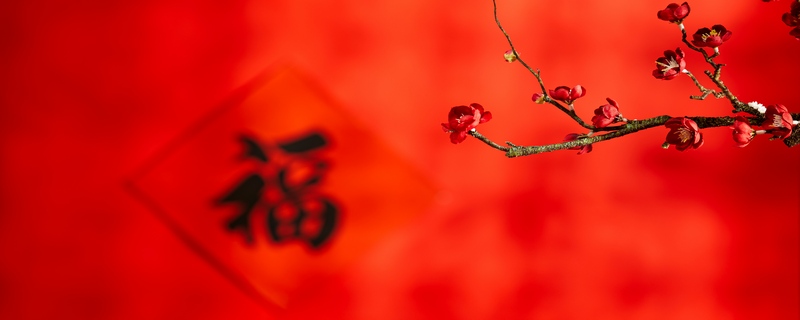 春节的传统习俗有哪些？ 春节的由来