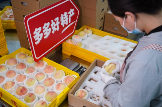 蜜桃红了、果农富了：拼多多“千亿扶持”催动江南小镇“甜蜜经济”