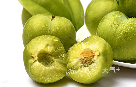 惠东有哪些特色水果 广东惠东特产
