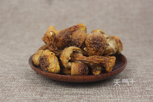 tqjia