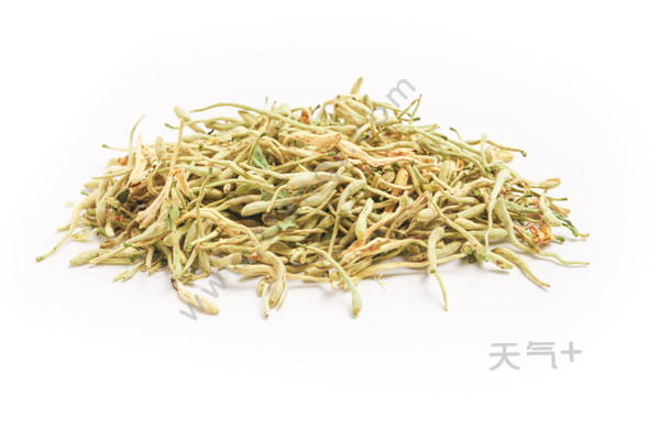 tqjia