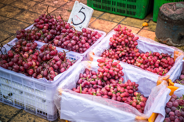 新疆哈密的主要特产水果 哈密水果特产是什么