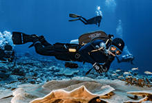 亞洲十大潛水勝地 亞洲潛水最好的地方