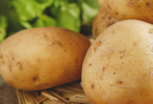 蒸土豆需要多长时间 蒸土豆需要多长时间才能蒸熟