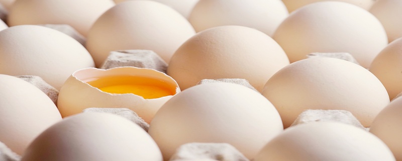 红皮鸡蛋和白皮鸡蛋有什么区别 红皮鸡蛋和白皮鸡蛋有什么不同