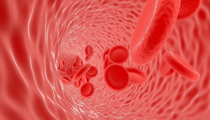 血与血浆有什么区别 血与血浆的区别