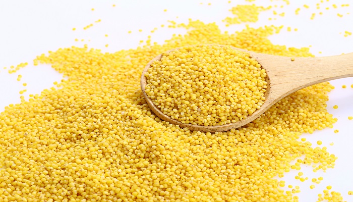 大黄米和小黄米有什么区别 大黄米和小黄米的区别是什么