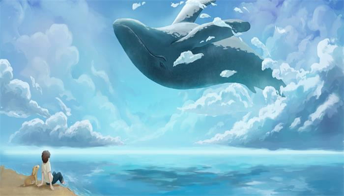 鲸落是什么意思  什么是鲸落