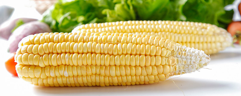 一根玉米多少克 一根玉米的重量是多少克
