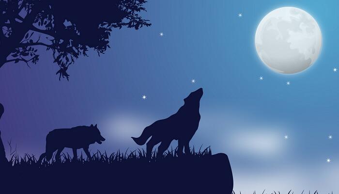 鹿和狼的故事课文 鹿和狼的故事课文是什么