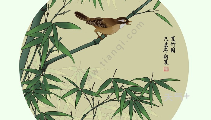 百灵鸟是什么意思比喻什么人百灵鸟可以比喻什么样的人