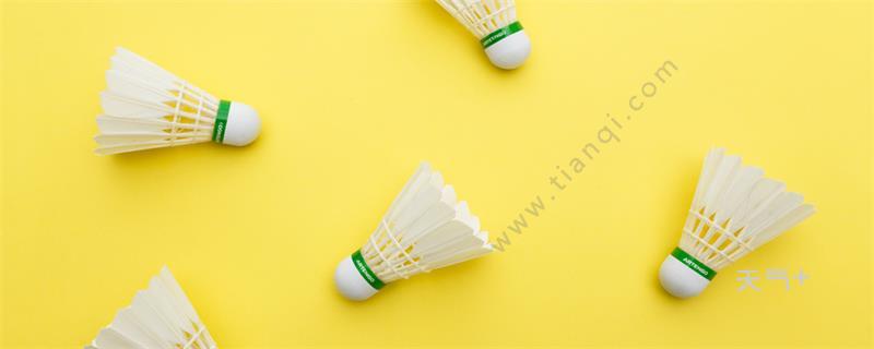 一只羽毛球上通常有多少根羽毛 一只羽毛球上通常应该有多少根羽毛