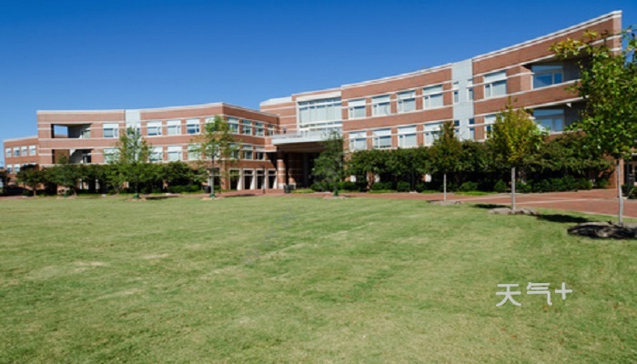 曼巴体育学院是大学吗 曼巴体育学院是不是大学