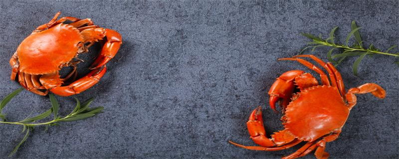 为什么秋天是吃蟹的好季节 为什么秋天适合吃蟹