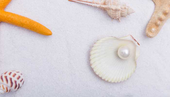 海螺珍珠是什么