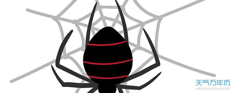 梦境迷宫，解析梦见上厕所遇蜘蛛的深层含义