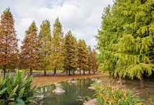 武汉植物园有哪些景点