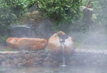 黄石雷山温泉度假村的面积