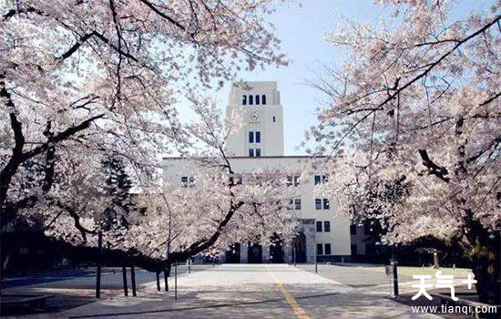 日本东京地区的大学有哪些 tqj
