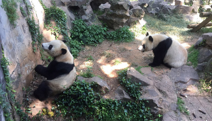 杭州動物園門票