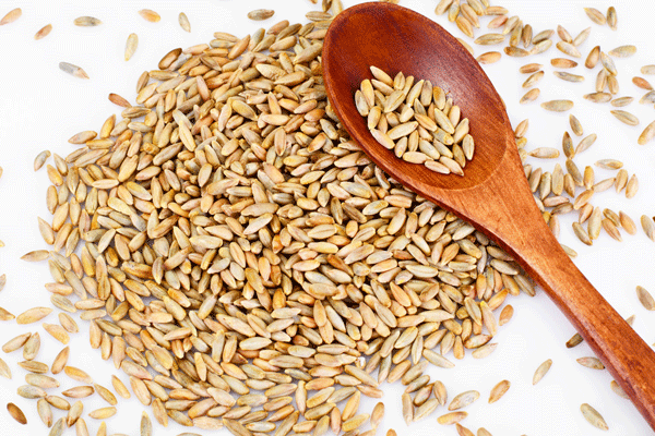 梦见谷麦预示什么梦到谷麦好不好