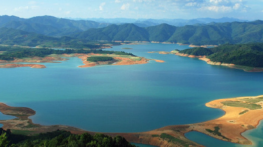 百色天氣預(yù)報(bào)15周