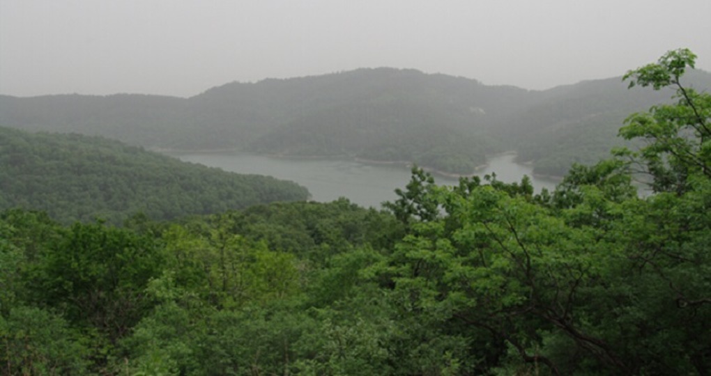 確山天氣預(yù)報15周