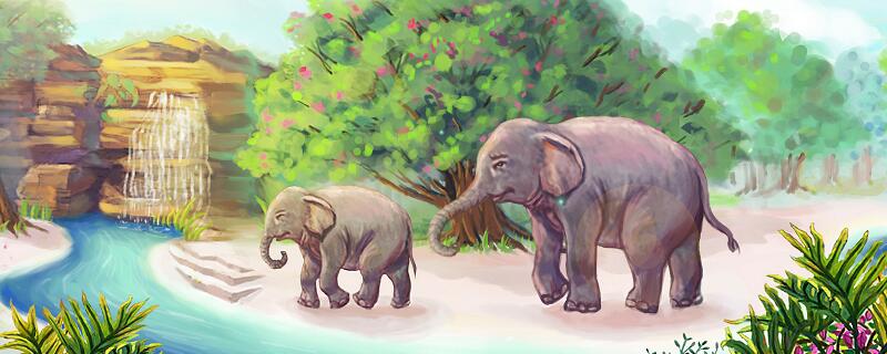 大象的耳朵耷拉着有什么作用 大象的耳朵为什么垂下来
